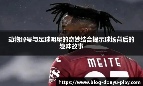 动物绰号与足球明星的奇妙结合揭示球场背后的趣味故事